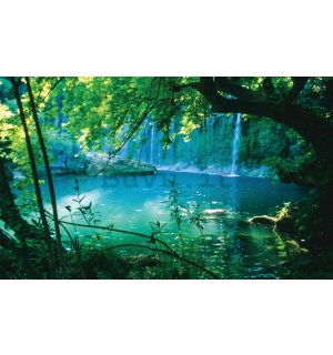 Fotomurale: Lago e cascata - 254x368 cm