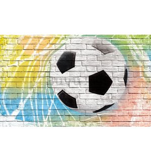 Fotomurale: Pallone da calcio (dipinto) - 254x368 cm