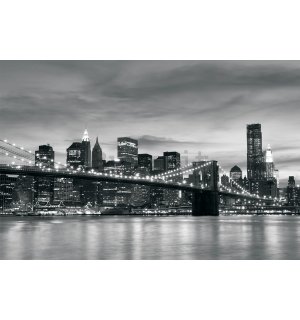 Fotomurale in TNT: Brooklyn Bridge - 104x152,5 cm