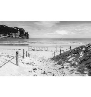 Quadro su tela: Spiaggia sabbiosa (in bianco e nero) - 75x100 cm