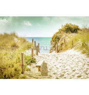 Quadro su tela: Sentiero sulla spiaggia (9) - 75x100 cm