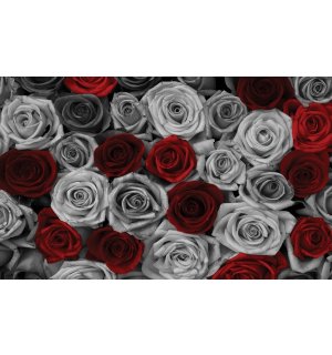 Quadro su tela: Rose bianche e rosse (1) - 75x100 cm