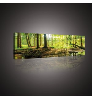 Quadro su tela: Foresta alluvionale - 145x45 cm