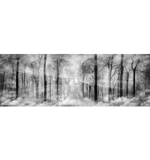 Fotomurale: Foresta in bianco e nero - 624x219 cm