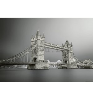 Fotomurale in TNT: Gray Tower Bridge - 254x368 cm