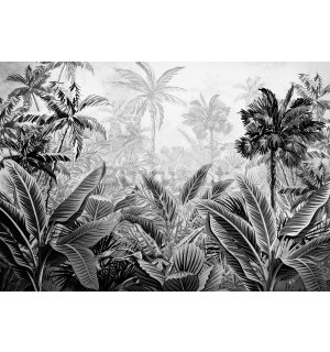 Fotomurale in TNT: Palme e felci (bianco e nero) - 416x254 cm