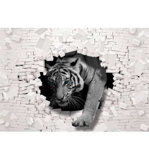 Fotomurale in TNT: Tigre dal muro - 254x184 cm