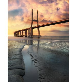 Fotomurale: Ponte di corda (2) - 184x254 cm