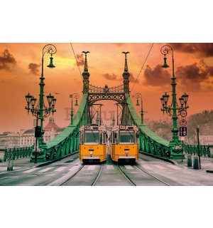 Poster: Tram sul Ponte della Liberta, Budapest