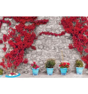 Fotomurale in TNT: Muro di fiori rossi (1) - 416x254 cm