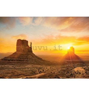 Fotomurale in TNT: Deserto dell'Arizona - 254x184 cm