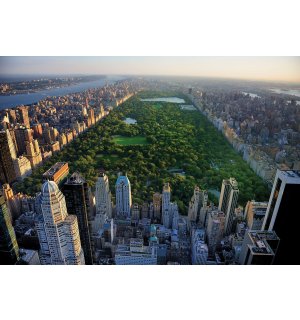 Fotomurale in TNT: New York Central Park - 416x254 cm