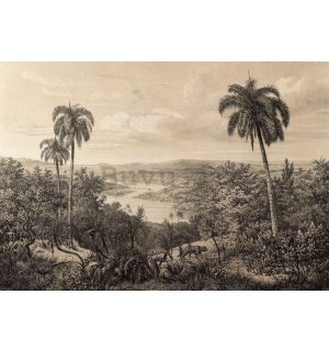 Fotomurale in TNT: Rio delle Amazzoni, litografia - 254x184 cm