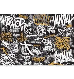 Fotomurale in TNT: Graffiti (tri - 152,5x104 cm