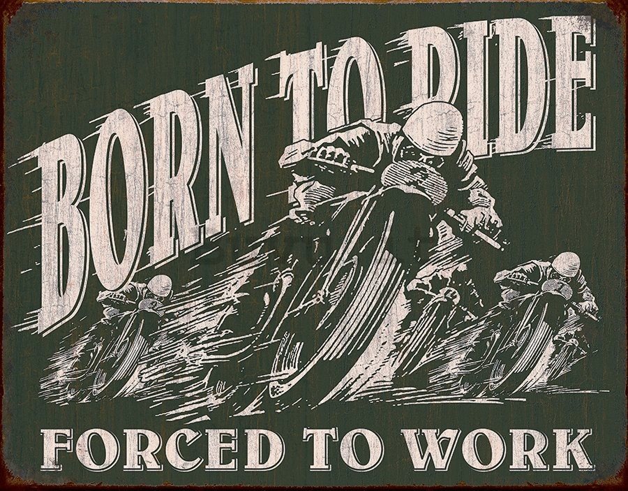 Targa in latta - Born To Ride (Forced To Work)