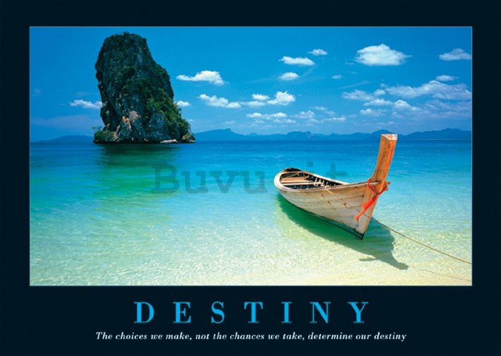 Poster - Destiny (1)