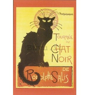 Poster - Chat Noir