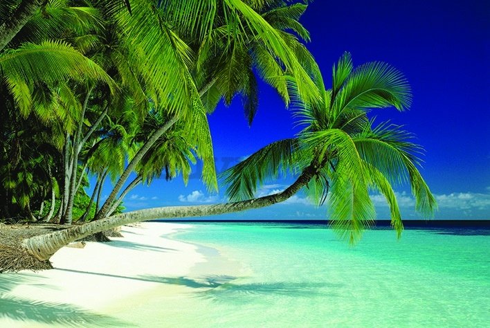 Poster - Maldives Beach