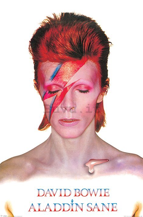 Poster - David Bowie (Alladin Sane)