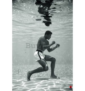 Poster - Ali (Underwater)