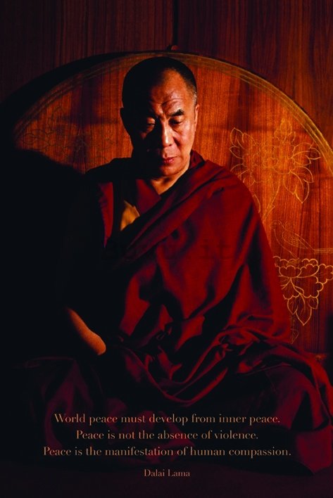 Poster - D Lama World Peace