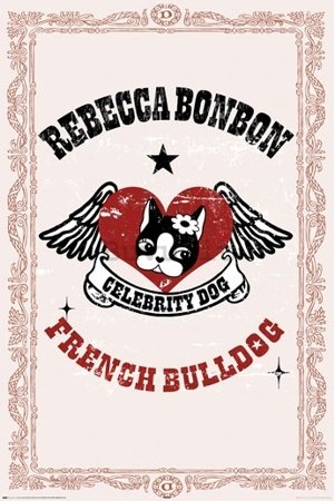 Poster - French bulldog