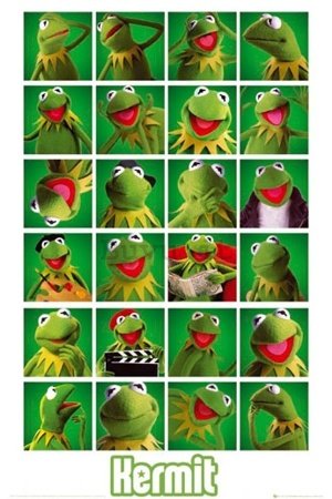 Poster - The Muppets kermit collage