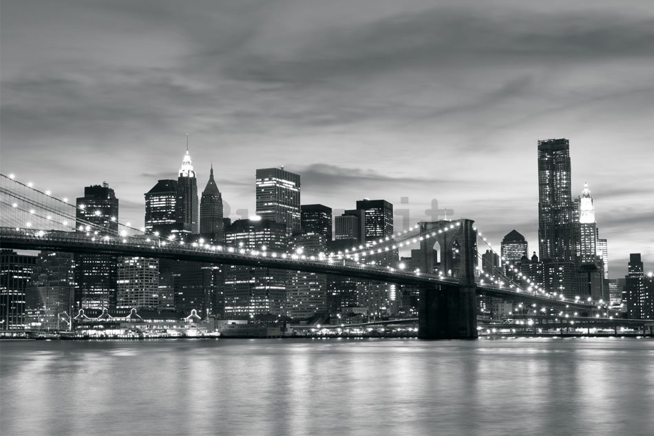 Fotomurale: Brooklyn Bridge - 254x368 cm