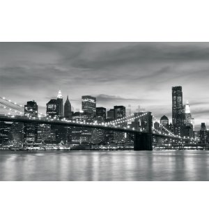 Fotomurale: Brooklyn Bridge - 254x368 cm