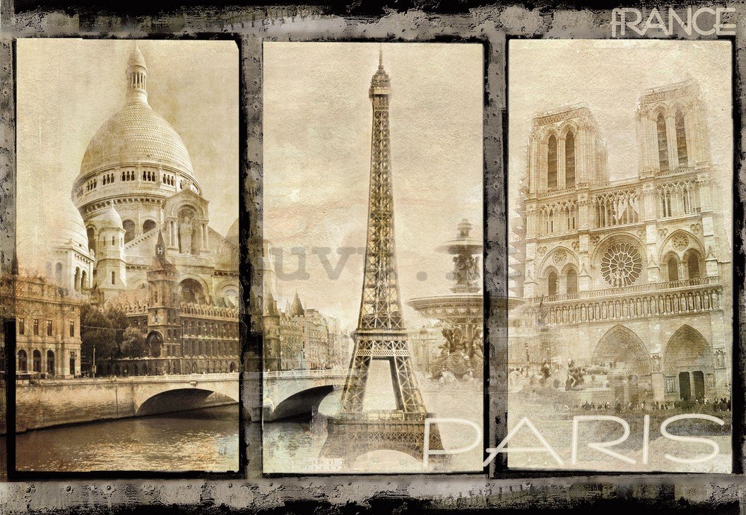 Fotomurale: Parigi (monumenti principali) - 254x368 cm