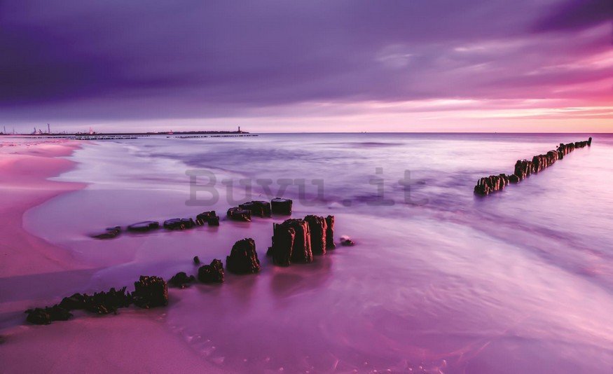 Fotomurale: Tramonto viola sulla spiaggia - 254x368 cm