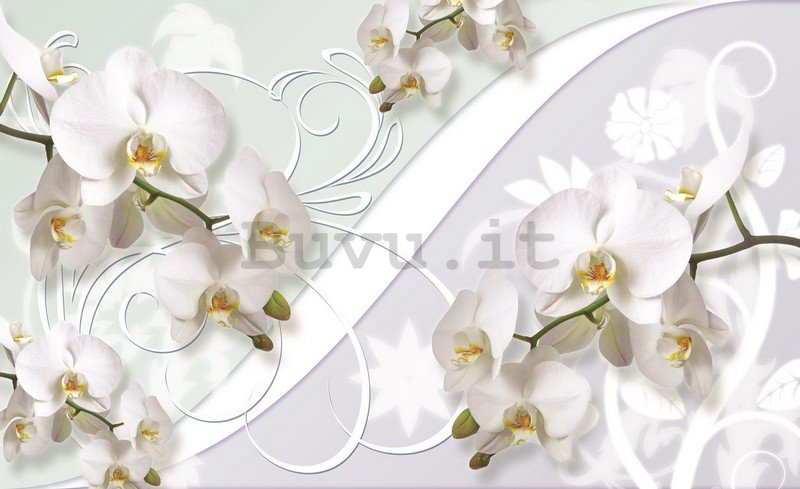 Fotomurale: Orchidea bianca (motivo) - 254x368 cm