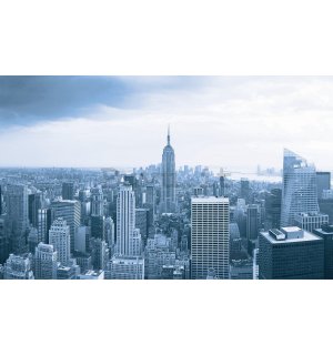 Fotomurale: Vista di Manhattan - 254x368 cm