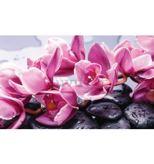 Fotomurale: Pietre termali e orchidee rosa - 254x368 cm