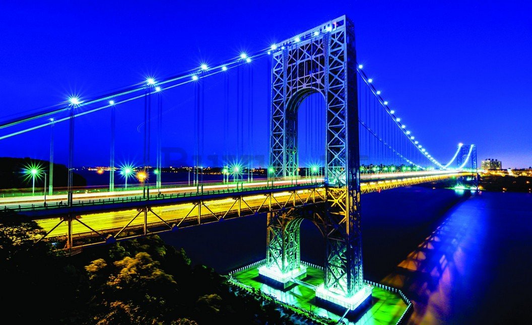 Fotomurale: Manhattan Bridge - 254x368 cm
