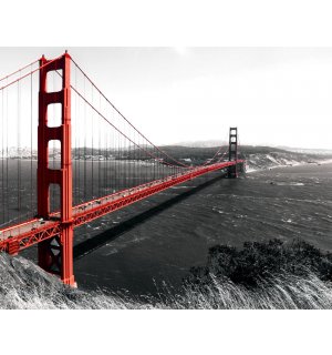 Fotomurale: Golden Gate Bridge (1) - 254x368 cm