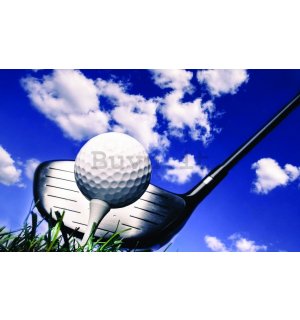 Fotomurale: Golf (2) - 254x368 cm