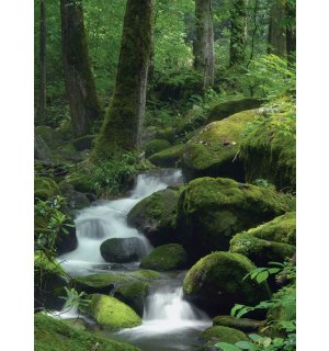 Fotomurale: Ruscello nel bosco (1) - 254x184 cm