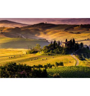 Fotomurale: Toscana - 254x368 cm