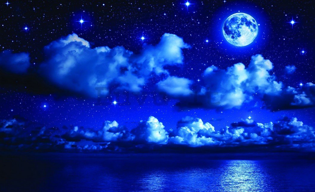 Fotomurale: Notte con la luna - 254x368 cm