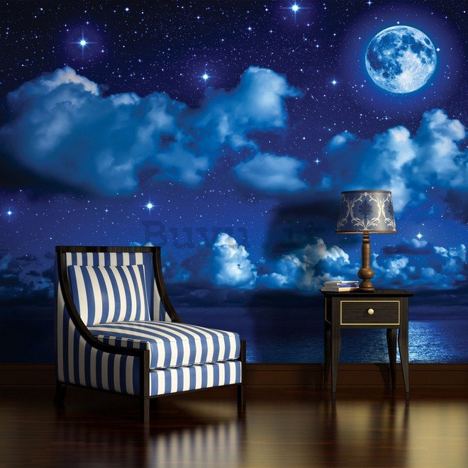 Fotomurale: Notte con la luna - 254x368 cm