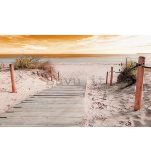 Fotomurale: Spiaggia (4) - 254x368 cm