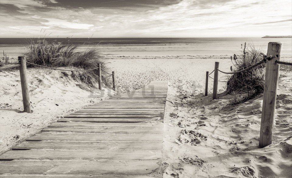 Fotomurale: Spiaggia (in bianco e nero) - 254x368 cm