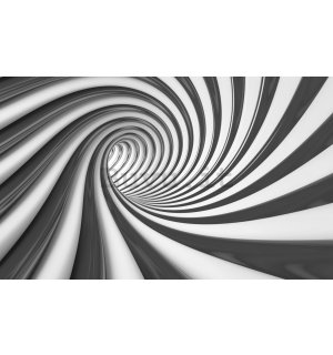 Fotomurale: Spirale nera - 254x368 cm