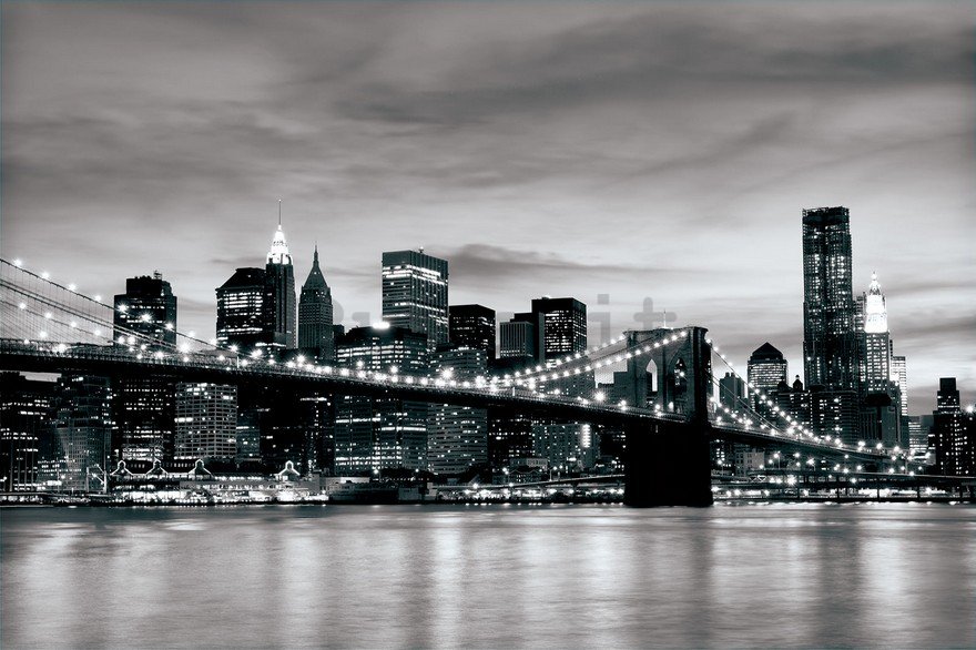 Fotomurale: Brooklyn Bridge (bianco e nero) - 254x368 cm