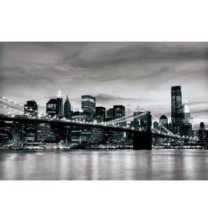 Fotomurale: Brooklyn Bridge (bianco e nero) - 254x368 cm