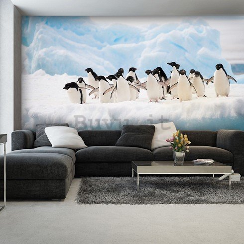 Fotomurale: Pinguini - 254x368 cm
