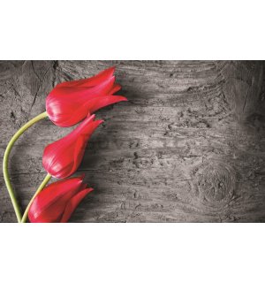 Fotomurale: Tulipani rossi - 254x368 cm