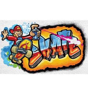 Fotomurale: Skate graffiti - 254x368 cm