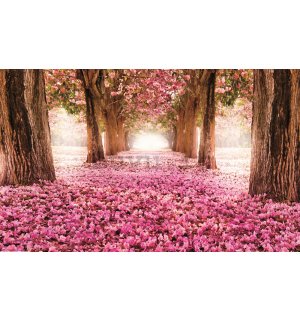 Fotomurale: Viale fiorito (1) - 254x368 cm